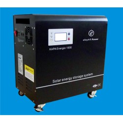 1000w UPS inverter with 100ah ( KAPA)